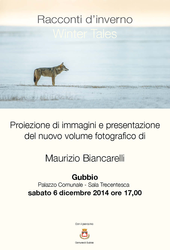 Maurizio Biancarelli: Racconti d'inverno - Winter Tales. Gubbio, Palazzo Comunale - Sala Trecentesca, sabato 6 dicembre 2014 ore 17,00.