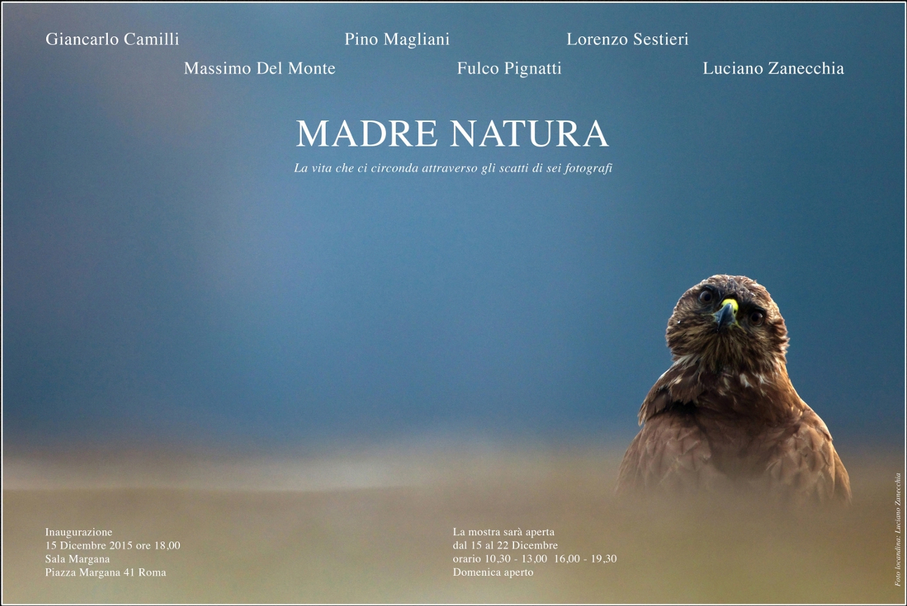 Madre Natura - La vita che ci circonda attraverso gli scatti di sei fotografi. Inaugurazione 15 dicembre 2015, ore 18, presso Sala Margana, in piazza Margana 41, Roma